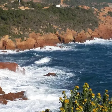 Et Les Flots Bleus Apart Otel 4*