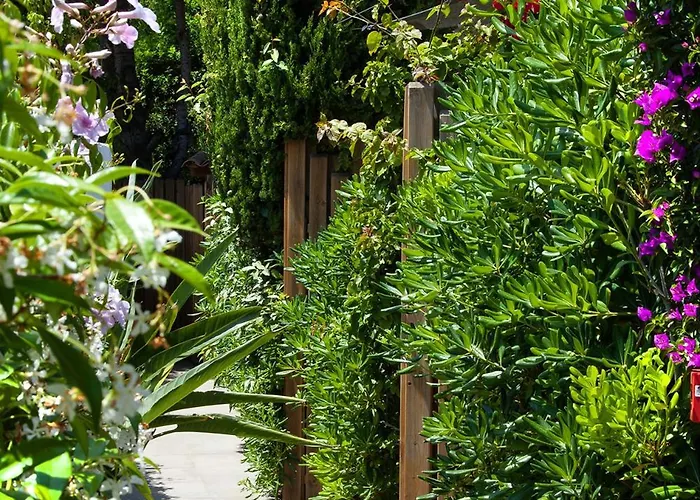 Et Les Flots Bleus Апарт-отель Сен-Рафаэль